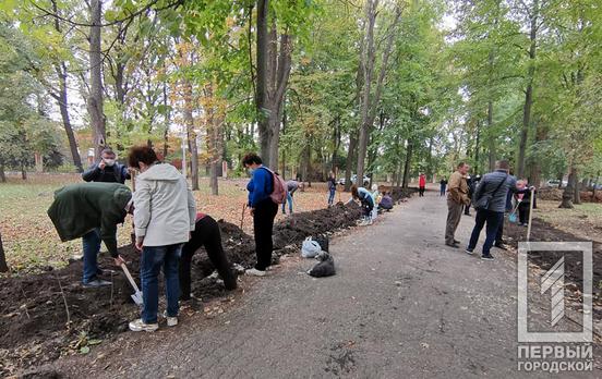 В одном из парков Кривого Рога горожане высадили «живую изгородь» из боярышника