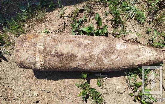 Недалеко от Кривого Рога нашли артснаряд времён Второй мировой войны