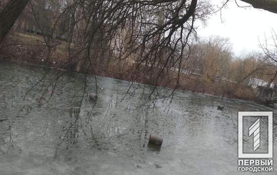 Урны на льду и камыш в огне: неизвестные «похозяйничали» в одном из парков Кривого Рога