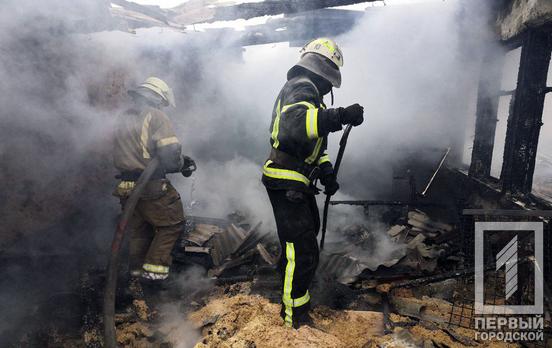 В Кривом Роге из-за пожара в сарае погибли животные