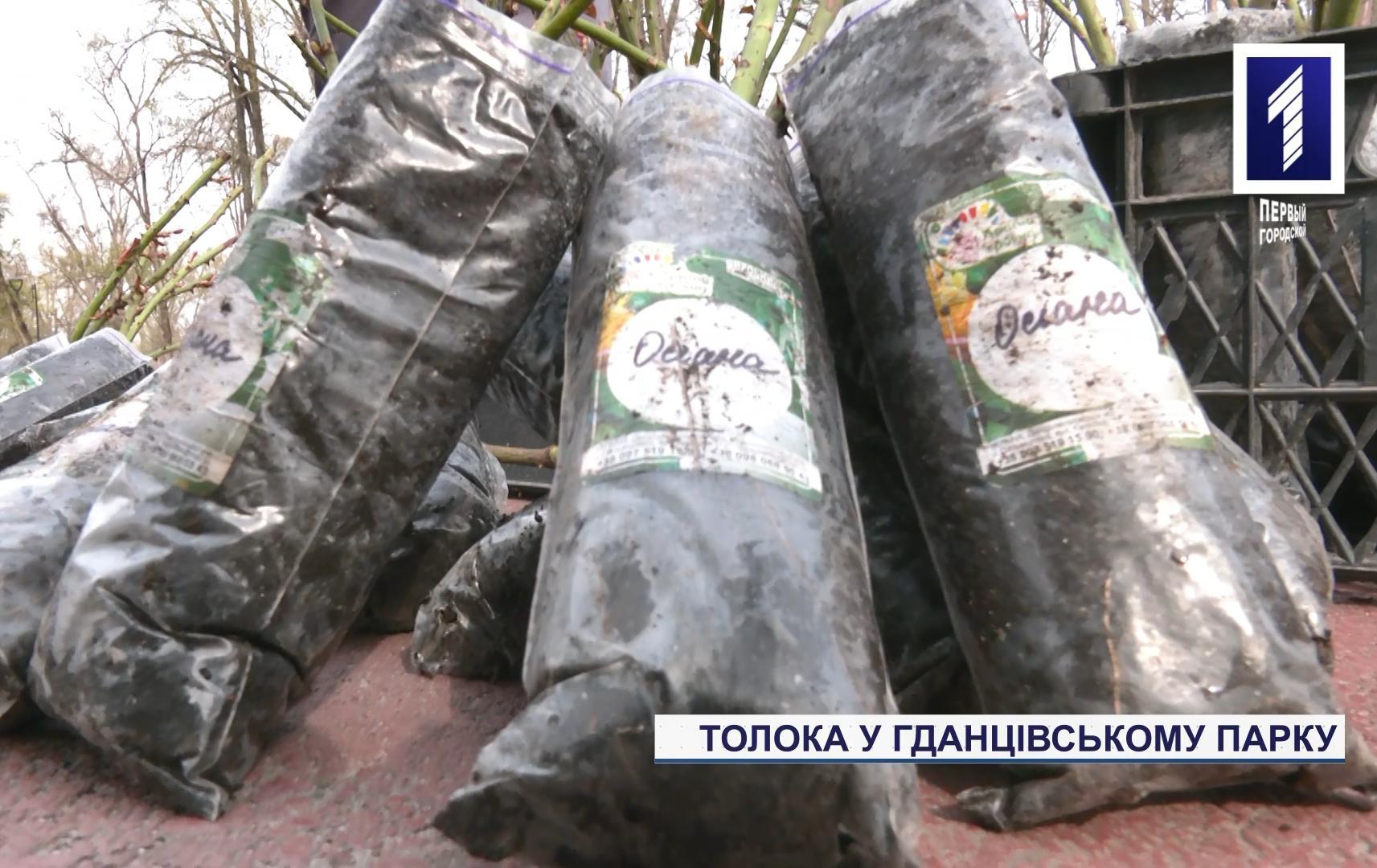 Спецрепортаж: толока у Центрально-Міському районі