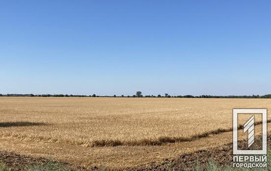Війна в Україні може спровокувати глобальну продовольчу кризу в країнах Азії та Африки