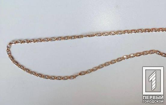 Зірвав ланцюжок з шиї та втік: поліцейські Кривого Рогу затримала зловмисника, який пограбував пенсіонерку