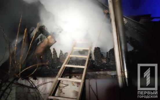 В Кривом Роге сгорел сарай, погибли три десятка куриц