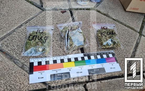 Ховав «травичку» у садовому ґрунті: у Кривому Розі на поштовому відділенні затримали наркодилера, що ніс «товар» на відправку