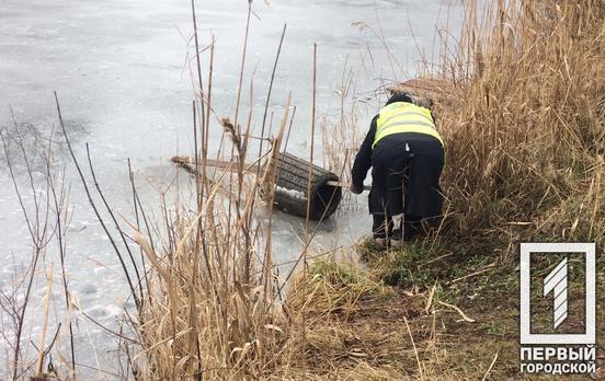 В Кривом Роге хулиганы выбросили несколько парковых урн в реку, – соцсети