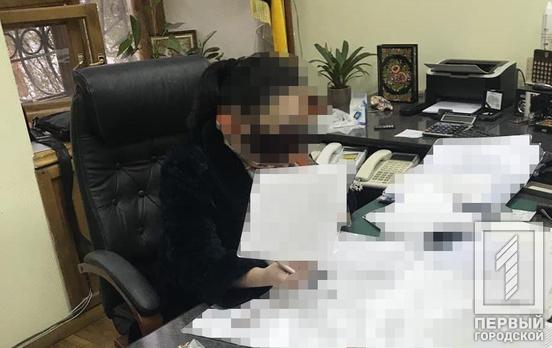 В Днепропетровской области группировка, вступив в сговор, незаконно завладела земельными участками