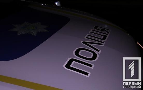 В Кривом Роге избили и ограбили мужчину в собственной квартире