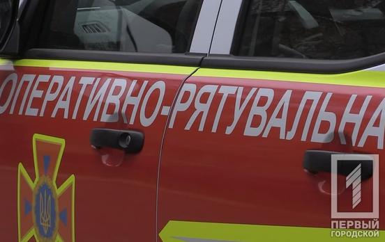 В Кривом Роге спасатели помогли коту, застрявшему на дереве