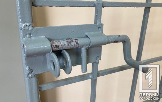 В Кривом Роге введут проект Custody Records для наблюдения за заключёнными