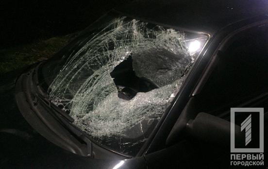 Полицейские Кривого Рога ищут очевидцев аварии, в результате которой пешеход получил тяжёлые травмы