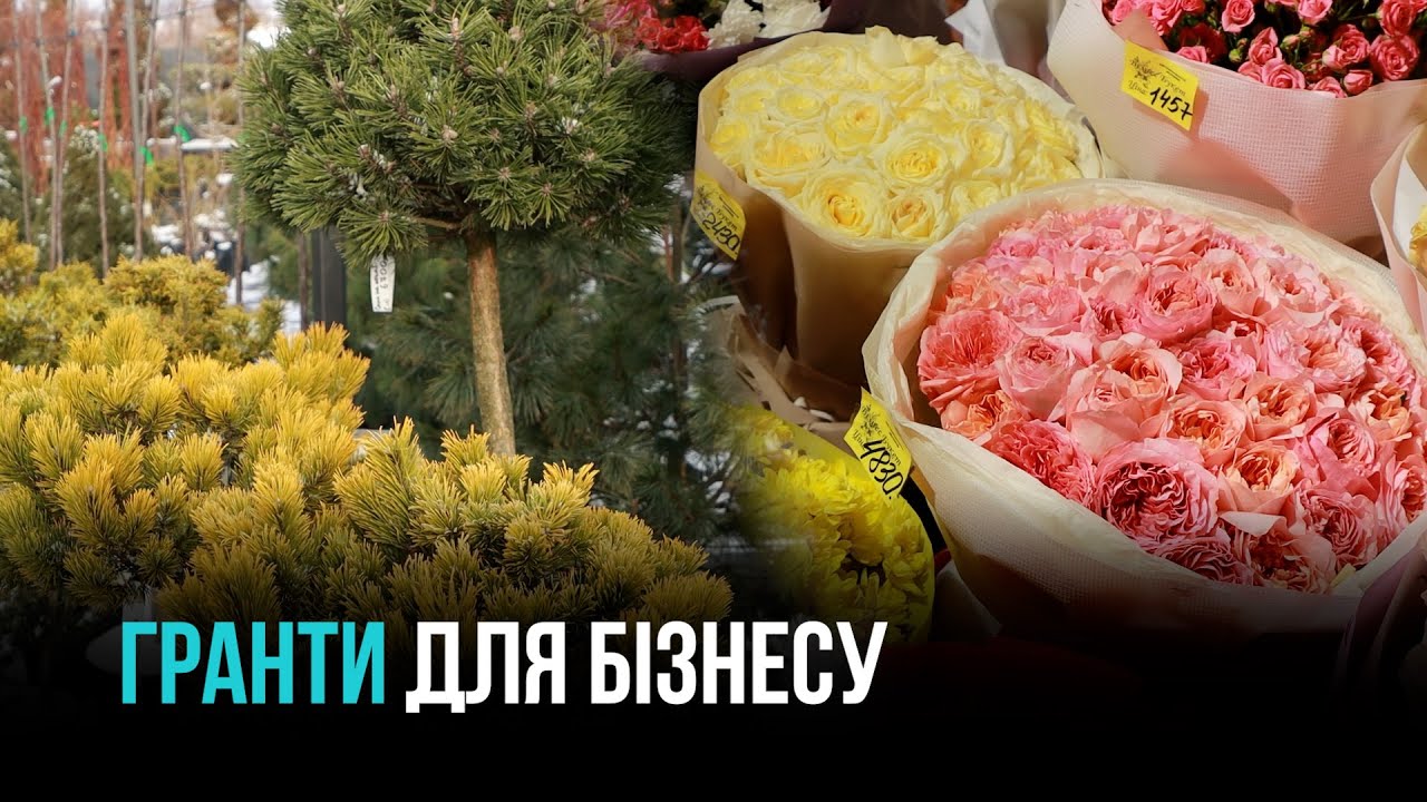ГРАНТИ ДЛЯ БІЗНЕСУ КРИВОГО РОГУ: ІНВЕСТИЦІЇ У РОБОЧІ МІСЦЯ