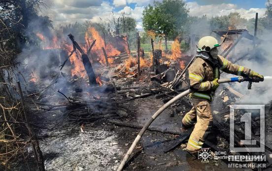 Залишилися лише обгорілі каркаси: на Криворіжжі рятувальники гасили велику пожежу