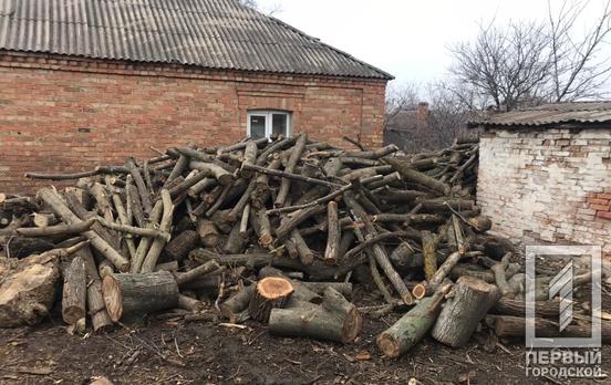 В Кривом Роге задержали троих мужчин за незаконную вырубку леса