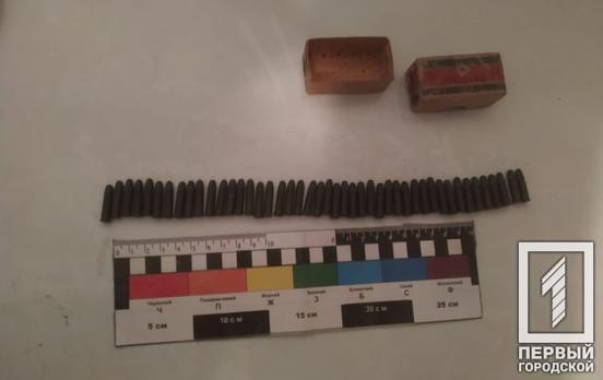 Полицейские Кривого Рога нашли дома у злоумышленника наркотические вещества и патроны