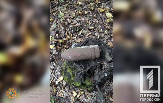 Недалеко від Кривого Рогу збирач грибів наткнувся на застарілий снаряд