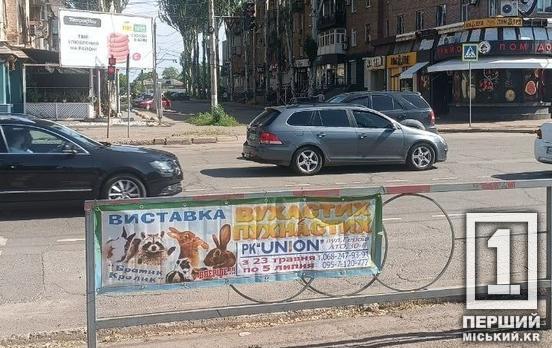 Очищення міських вулиць: у Кривому Розі взялися за незаконну рекламу «гастролерів»