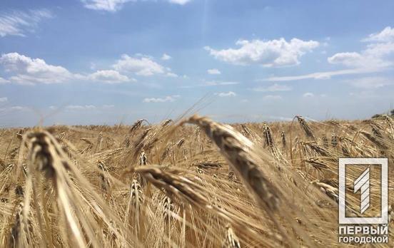 Україна наразі експортувала 2,7 млн