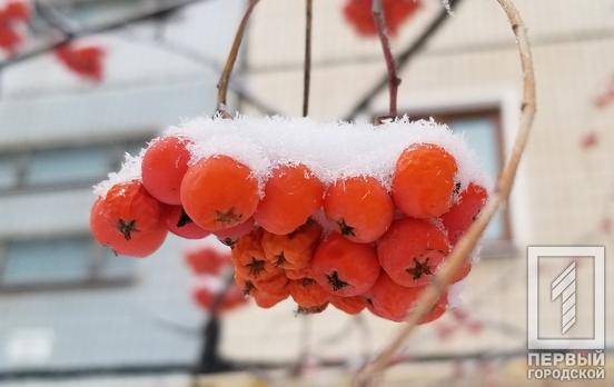 16 ноября в Кривом Роге будет идти дождь со снегом