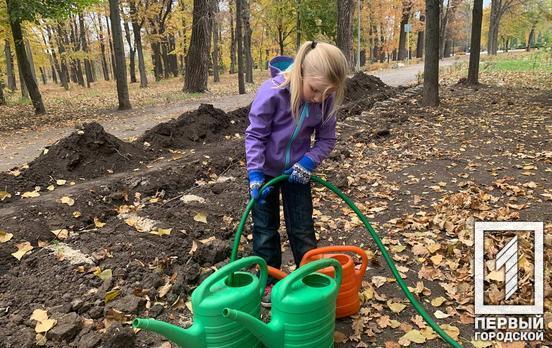 10 років озеленення: у одному з парків Кривого Рогу містяни висадили глід, сосни та ясени