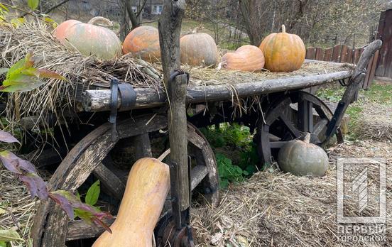 31 жовтня у Кривому Розі буде сонячна, але вітряна погода