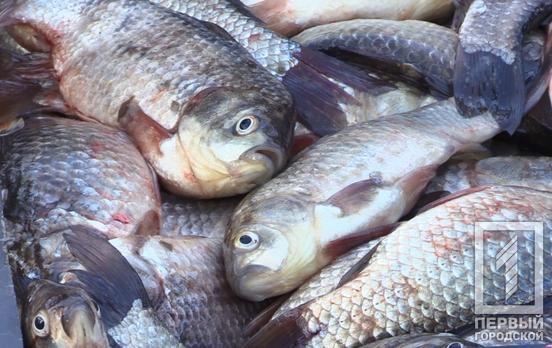 У Кривому Розі зафіксували риболовлю у забороненій зоні водосховища