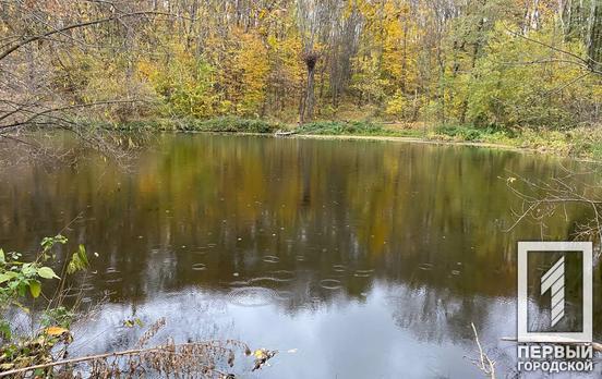 20 листопада у Кривому Розі весь день йтиме дощ