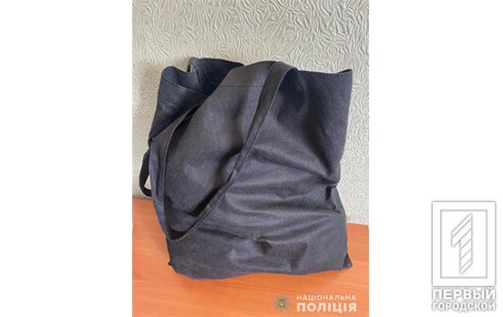 Схватил сумку и убежал: правоохранители Кривого Рога задержали ранее судимого мужчину