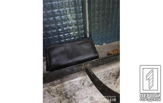 В Кривом Роге мужчина напал на пожилую женщину ради кошелька