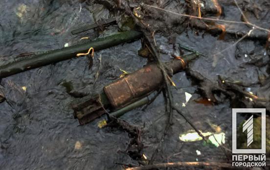 В Кривом Роге мужчина во время прогулки нашёл старый артиллерийский снаряд