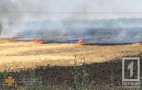 Окупанти обстріляли Апостолівську громаду, ворожі снаряди спричинили пожежу у полі, - ДСНС