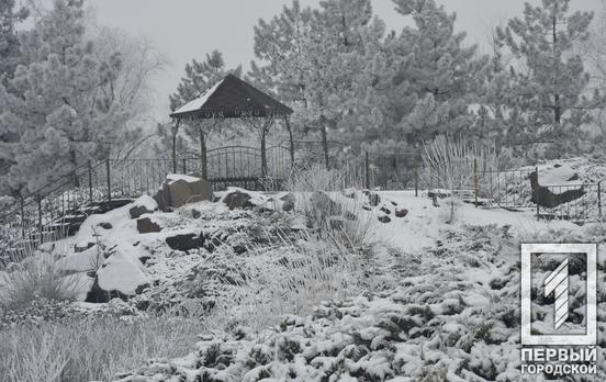 В ботанический сад Кривого Рога подорожает входной билет