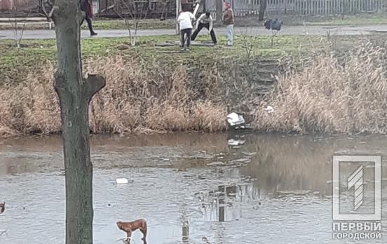 Спасательная операция: в Кривом Роге горожане вытащили на берег собаку, которая застряла на льдине, – соцсети