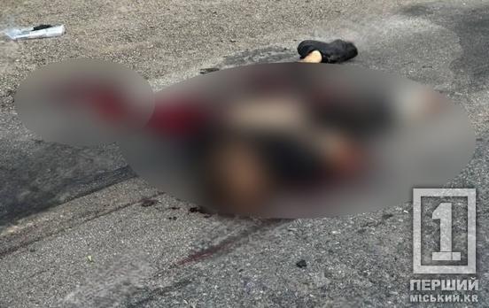 Залишив помирати у калюжі крові: у Криворізькому районі розшукують водія, який збив людину з протезом