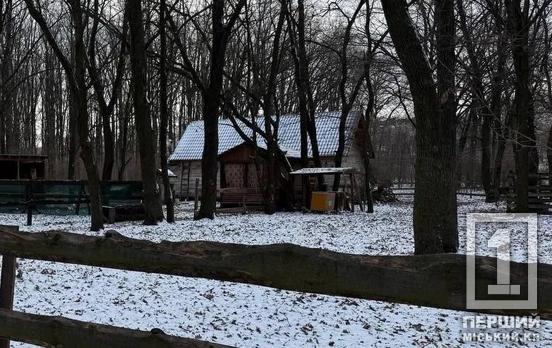 Неналежні умови та поведінка: зоозахисники вимагають вилучити тварин із приватного криворізького звіринця у «Дубках»