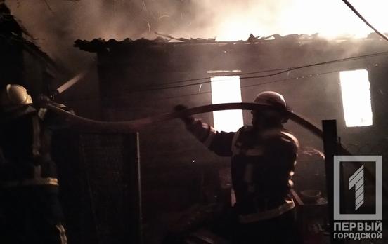 Под Кривым Рогом в огне погибли поросята и куры