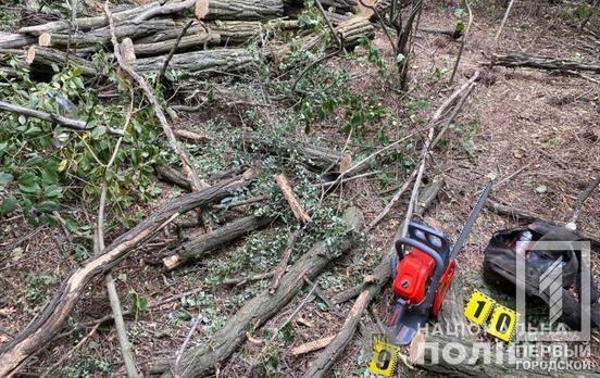 У Кривому Розі викрили злочинну групу, яка займалась незаконною вирубкою лісу