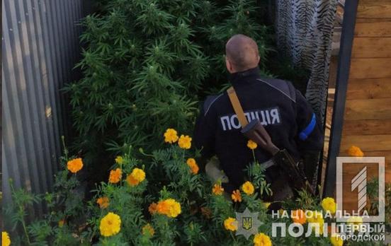 «Травичка» та боєприпаси: у Кривому Розі затримали чоловіка за зберігання забороненого