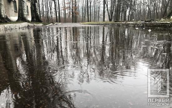 4 февраля в Кривом Роге будет дождливый день