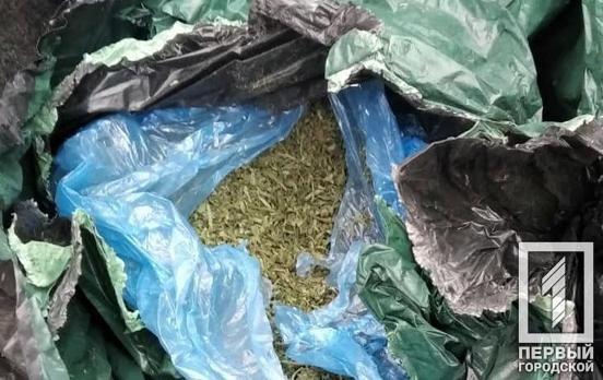 Патрульные Кривого Рога обнаружили горожанина, который ездил без прав на угнанном авто с наркотиками