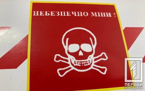 Почти 2000 авиационных бомб уничтожили пиротехники с начала полномасштабного вторжения россии, - ГСЧС