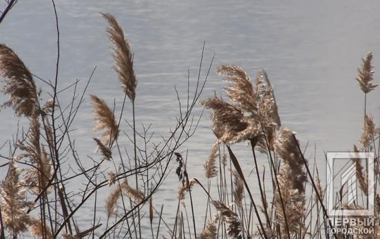 У Покровському районі Кривого Рогу з водойми дістали тіло хлопця з перерізаними венами