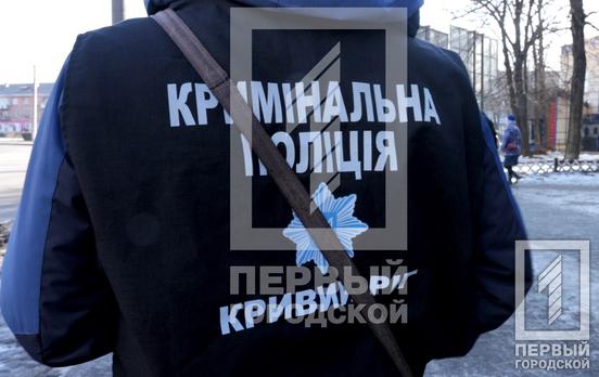 У Кривому Розі викрили групу серійних крадіїв