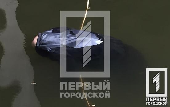 В реке под мостом в Кривом Роге нашли утопленника