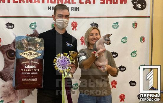 Найкращі котики: в Кривому Розі визначили переможців виставки