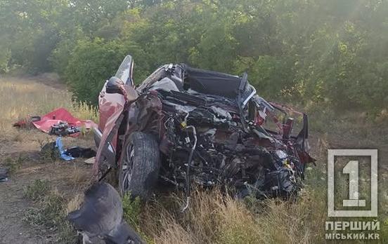 Трагедия унесла жизни сразу трех: на автодороге Днепр-Кривой Рог-Николаев произошло смертельное ДТП с фурой