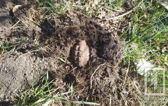 Пастух недалеко от Кривого Рога нашёл устаревший боеприпас