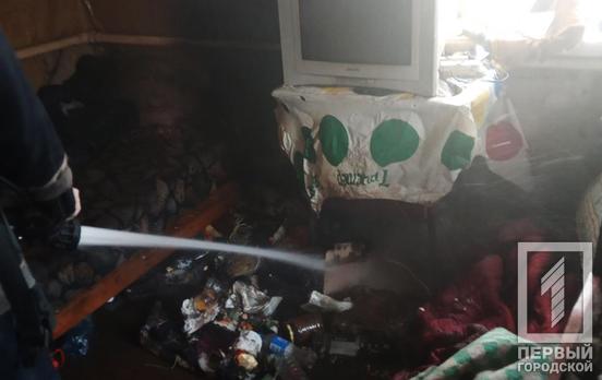 В Кривом Роге пенсионер отравился продуктами горения во время пожара в собственном доме