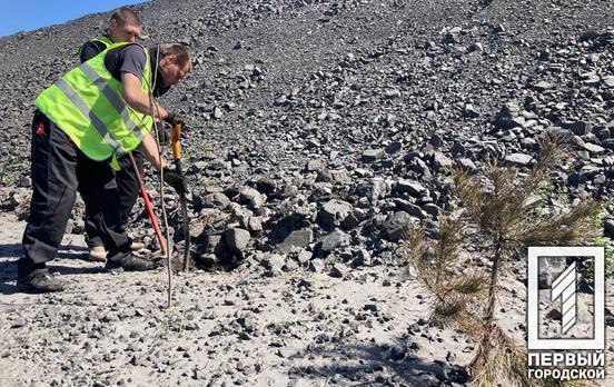 На одному з промислових підприємств Кривого Рогу активно проводять роботи з рекультивації земель й боротьбу з пилоутворенням