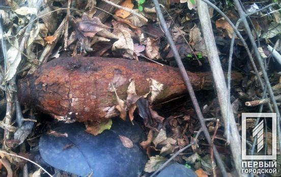 Под Кривым Рогом грибник наткнулся на мину времён Второй мировой